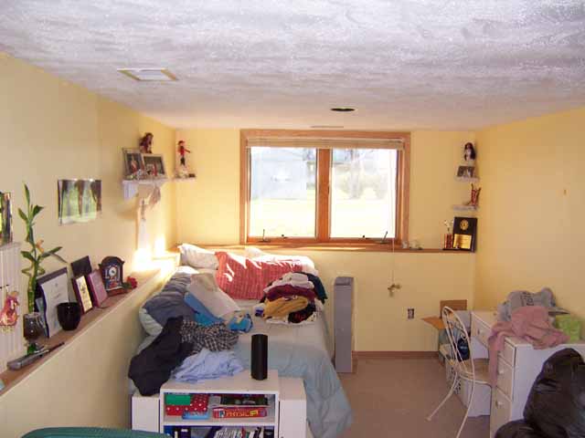 Lower Level Bedroom 9 x 18