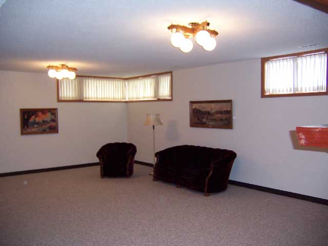 Basement Family Room