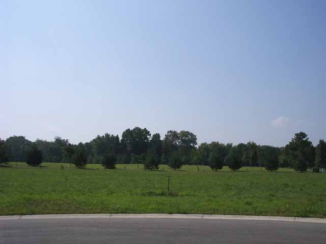 Street view of 140 Kenna Drive
Turril Estates
Le Sueur, MN 56058