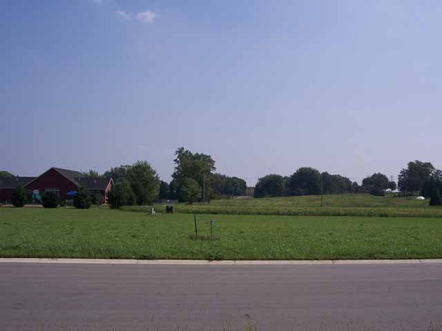 Street view of 113 Kenna Drive
Turril Estates
Le Sueur, MN 56058