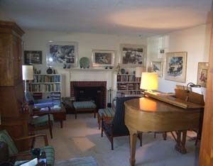 Living Room and Fireplace