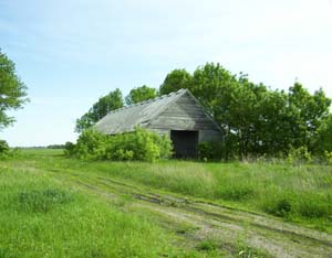 Large outbuilding from center of property