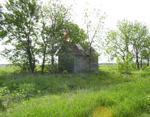 Small shed on right side tree line