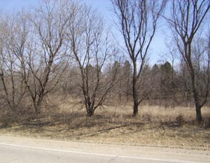 View from West on Cty Road 36