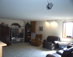 Lower Level Family Room