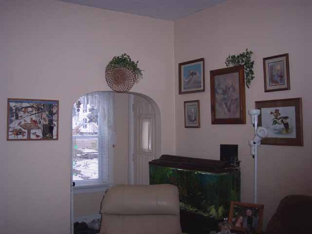 Living Room / Entry